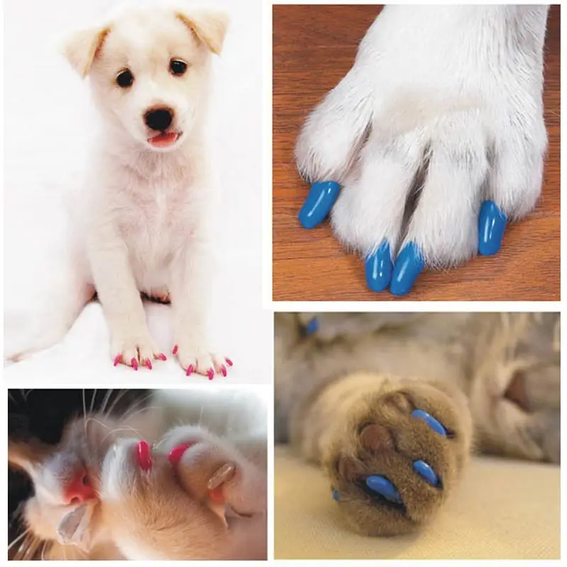 Hot sale 20Pcs/Lot Colorful Soft Rubber Pet Dog Cats Kitten Paw Claws Control Nail Caps Cover Size XS-XXL With Adhesive Glue