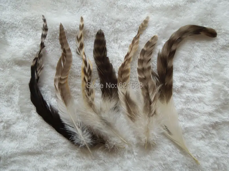 50Pcs/Lot!12-20cm COQUE TAIL FEATHER Loose,Grizzly Striped Nature colour,Perfect for earrings,hair pieces and bridal creations.