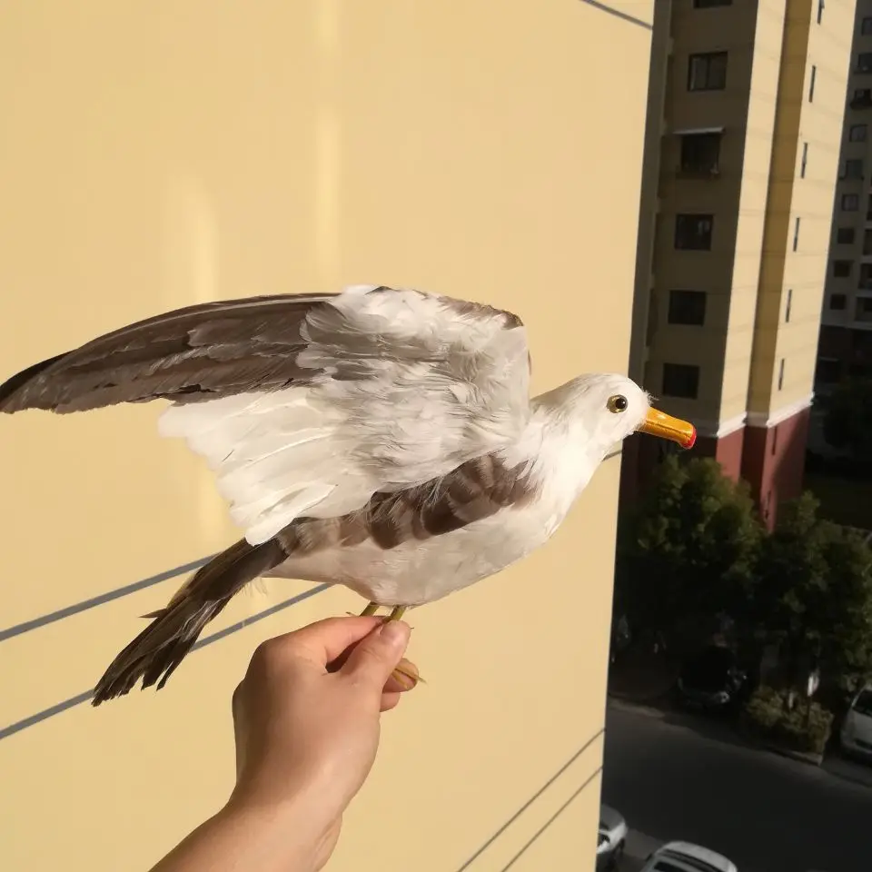 Echt leben spielzeug vogel große 35x60cm seagull modell schaum & federn vogel verbreitung flügel seagull, garten dekoration requisiten geschenk d2577