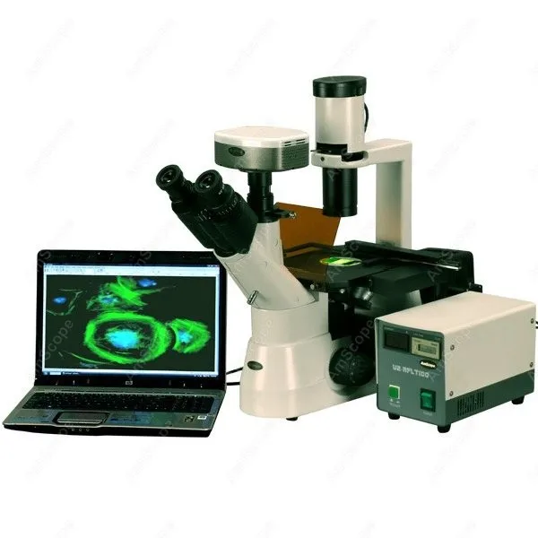 Флуоресцентный Инвертированный микроскоп EPI, AmScope поставки 40x-1000x, флуоресцентный Инвертированный микроскоп EPI + 5-мегапиксельная ПЗС-камера