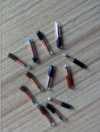 RFID Glass Tag , EM4100, Read only, D2.12x12mm