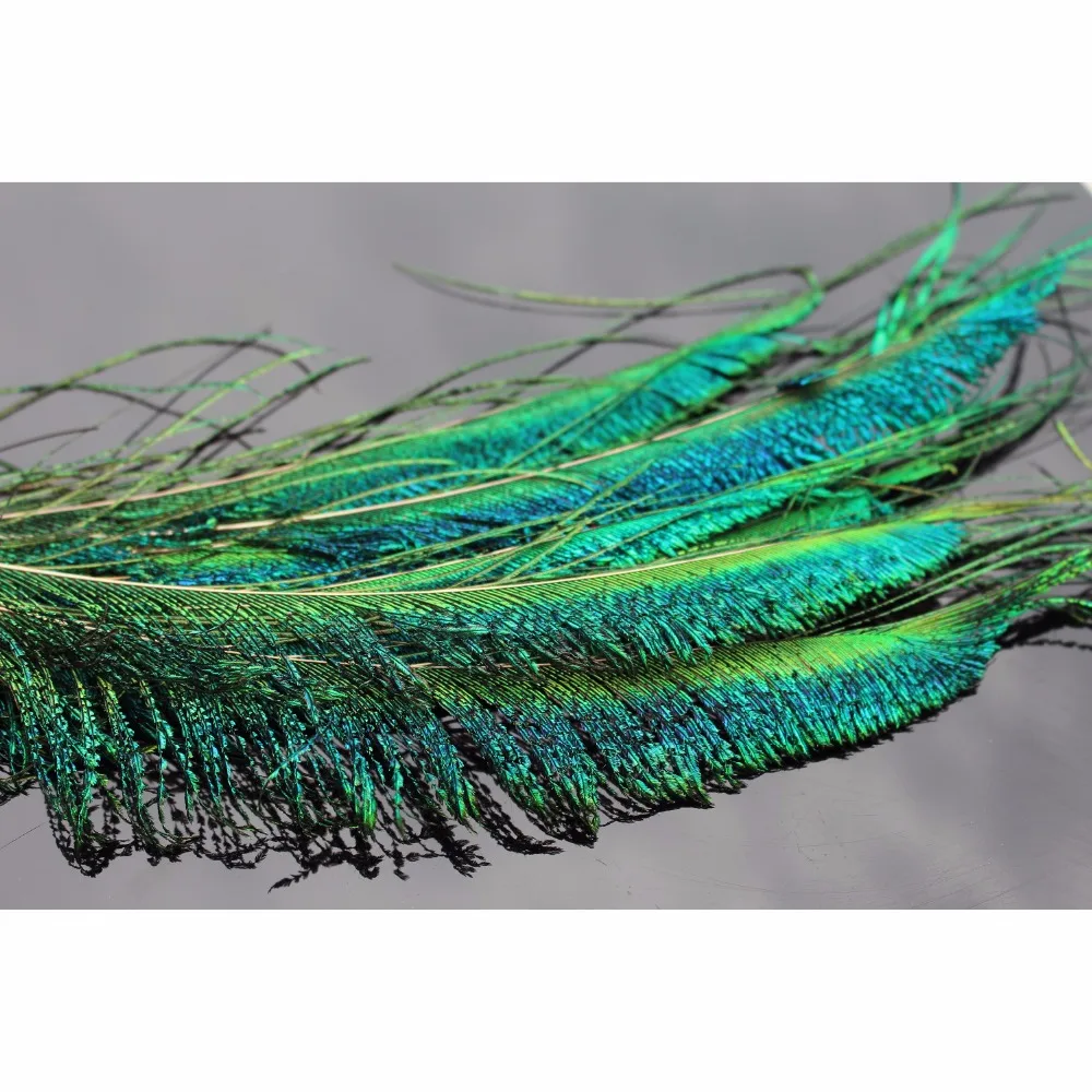 

Tigofly 12 pcs 30-35cm Length Peacock Sword Tail Herl Feather for Nymphs Wet Flies Classic Fly Tying Materials