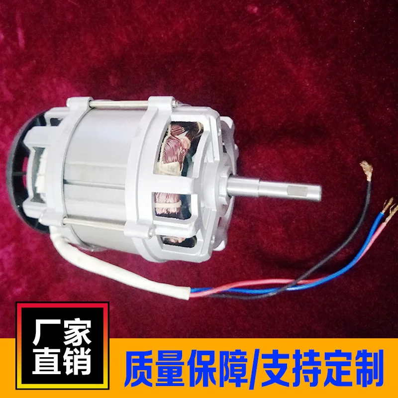 250W single-phase capacitor running motor Customized companion motor