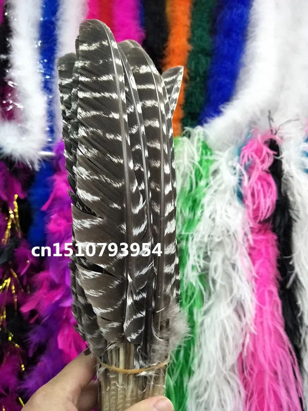 wholesale high quality 50pcs scare Natural Rare pattern eagle feathers 20-40cm/8-16inch Decorative diy Jewelry accessories