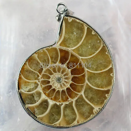 45mm- 50mm Big Natural Ammonite Shell stone Pendant Beads Wholesale ( 10 pieces/lot)