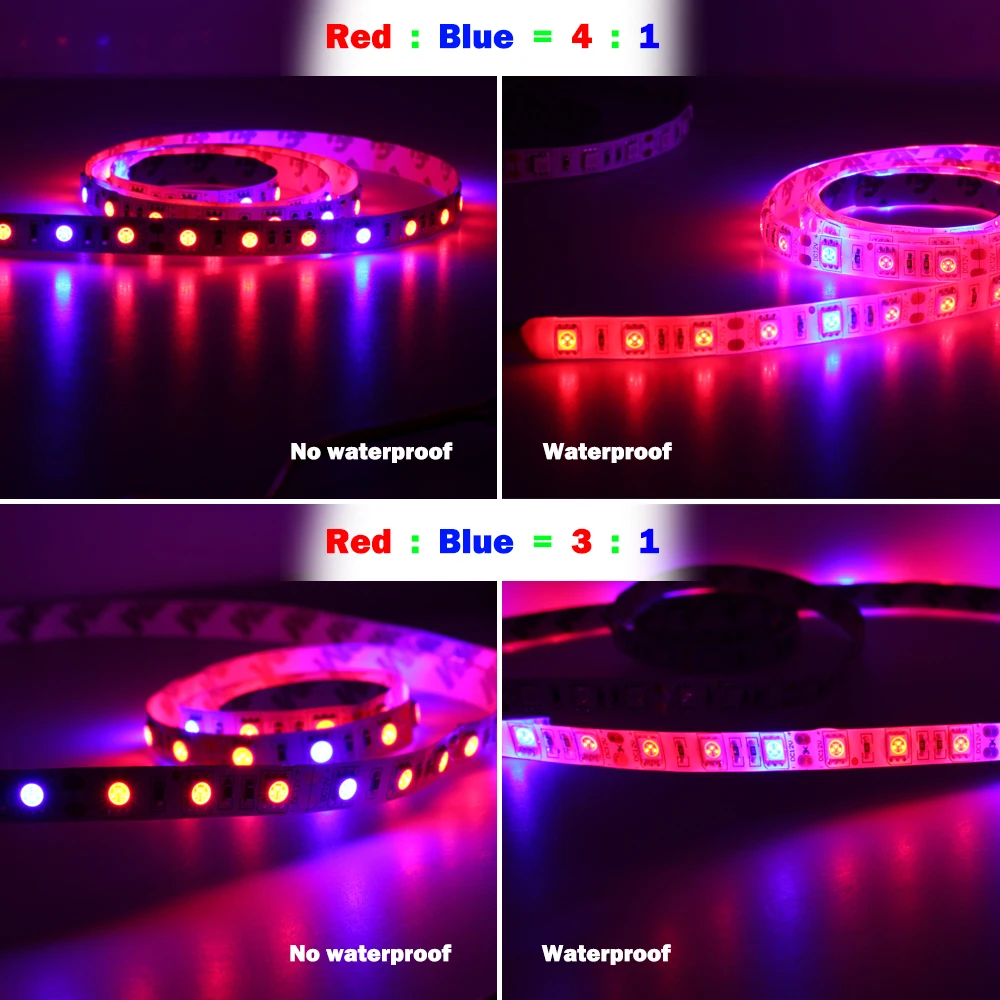 Lampe horticole de croissance LED, DC 12V, rouge, bleu, 5050, pour serre/chambre de culture hydroponique, 5m/lot