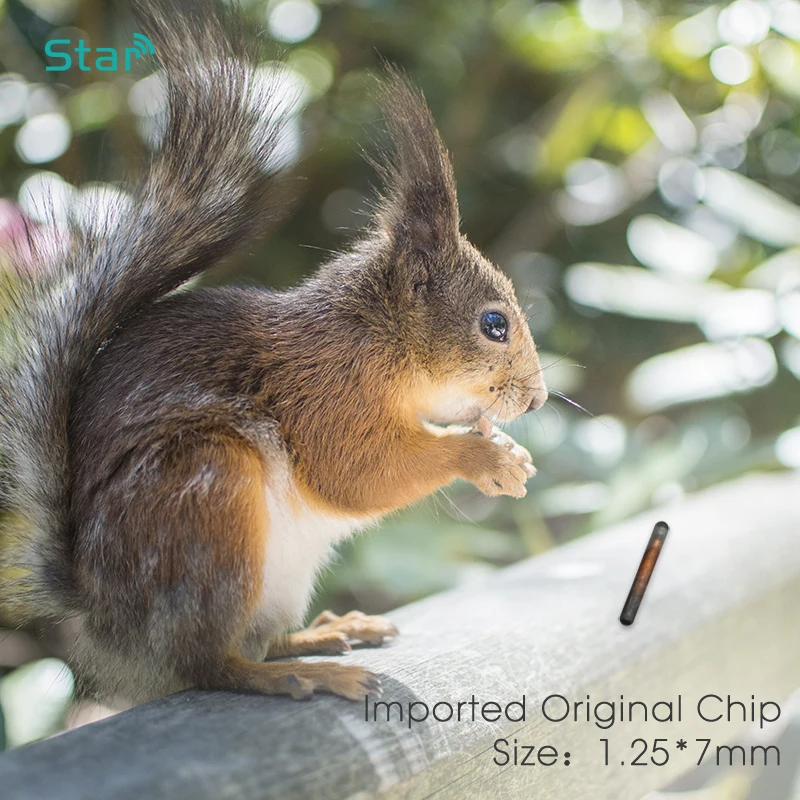 100 stks 1.25*7mm Chip Mini Dier Microchip Pet Rfid Spuit voor Hond Id Tracking