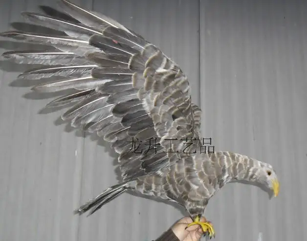 

simulation bird large 45x80cm gray eagle bird model toy craft,photography,teaching props,home decoration a1922