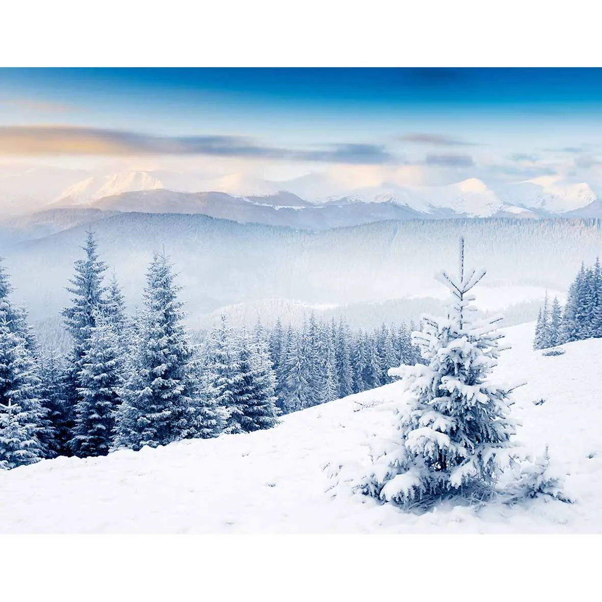 Allenjoy photographic background Snow winter white beautiful forest pure Photographic background for study Photo background