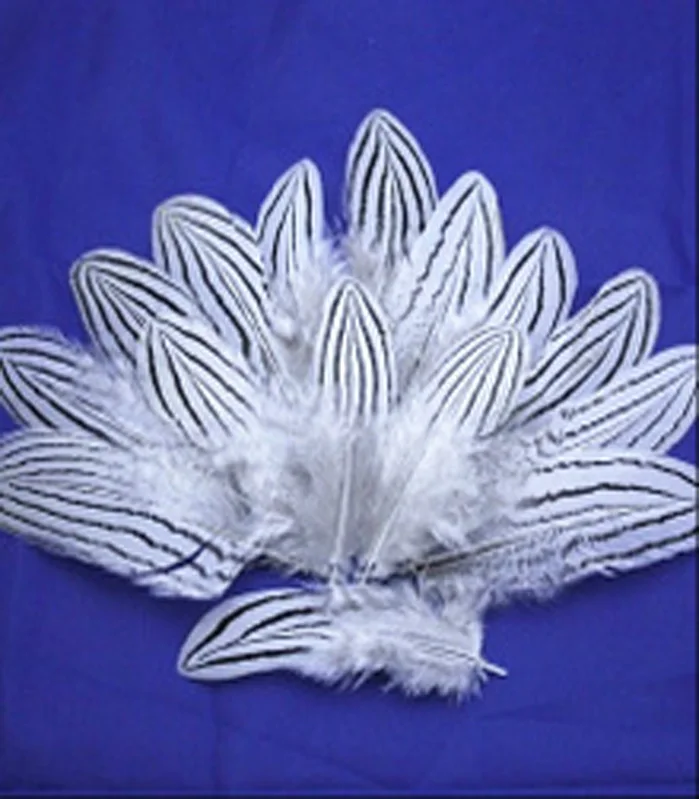 wholesale 20pcs nature silver chicken feather 5-10cm/2-4inch Decorative diy collect