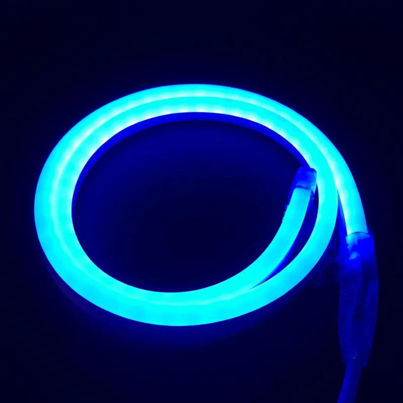 1-10m Outdoor&Indoor LED Lighting Flex LED Neon Light SMD 2835 120leds/m LED Neon Strip rope Light Waterproof 220V power plug