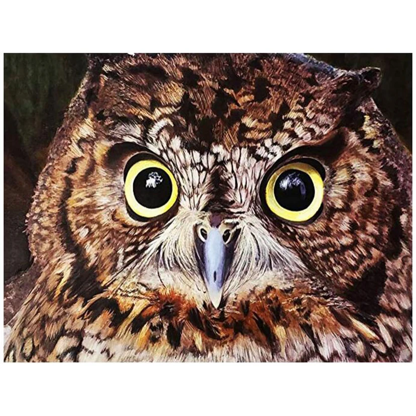 

Full square/round drill 5d diy diamond painting "animal owl" diamond embroidery mosaic rhinestones picture decor home WG010