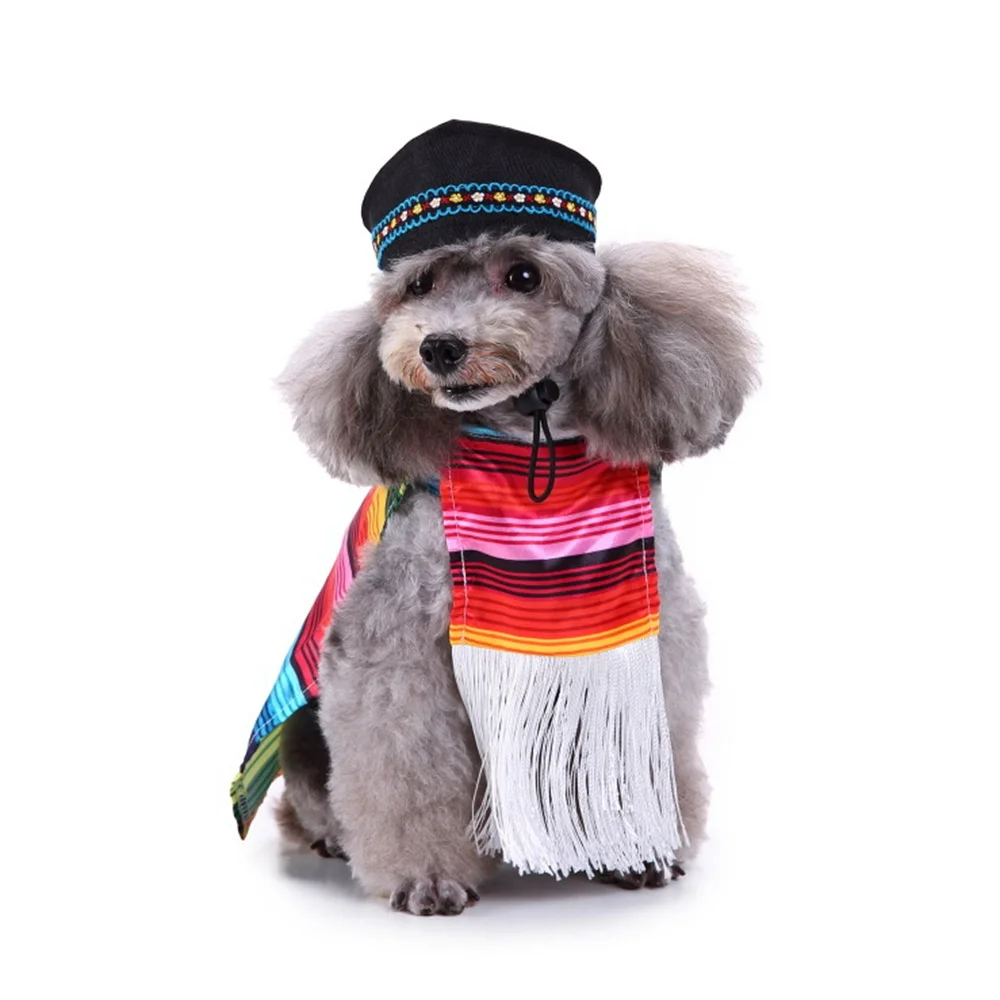 Pet Dog Clothes For Small Dogs Winter Christmas Halloween Clothes Warm Cat Coat Jacket Pumpkin Wizard Transform Funny Costume