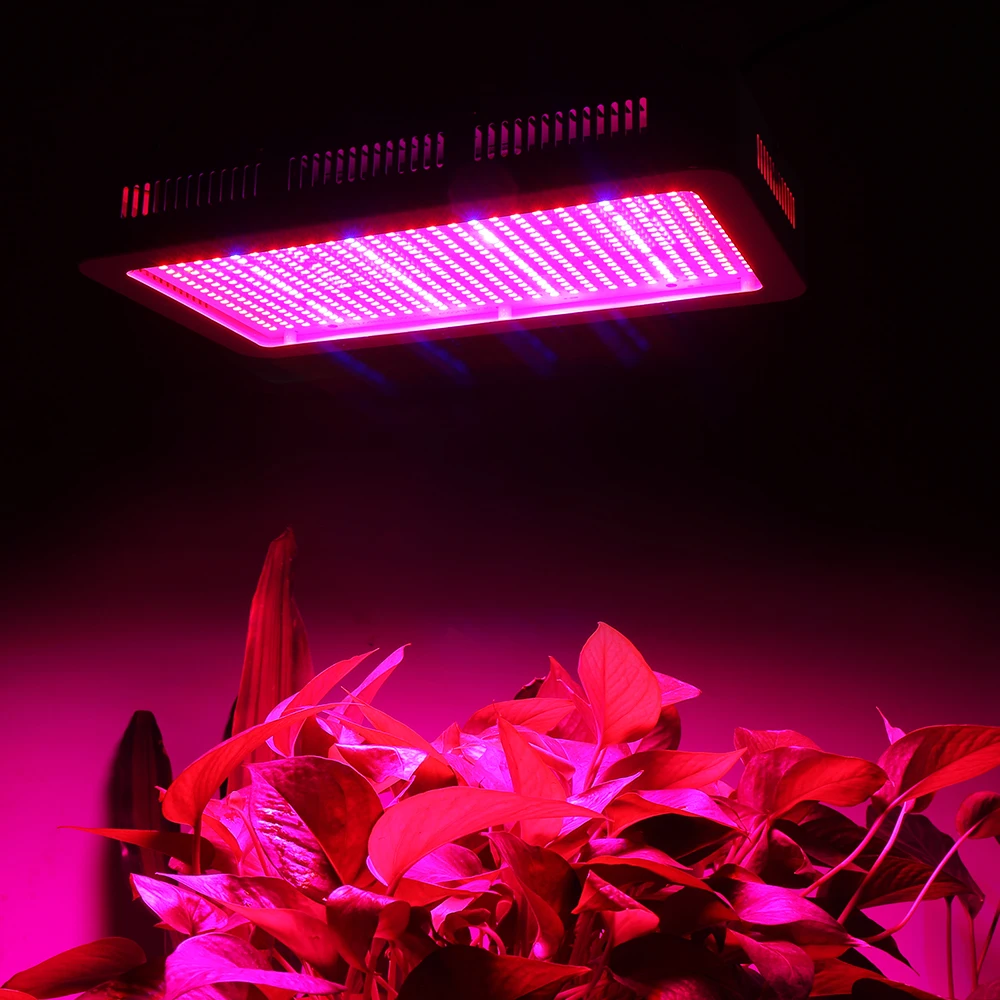 실내 수경재배 식물 램프, 600W LED 성장 조명, 전체 스펙트럼 식물 성장 램프, 꽃 채소 재배 텐트 온실