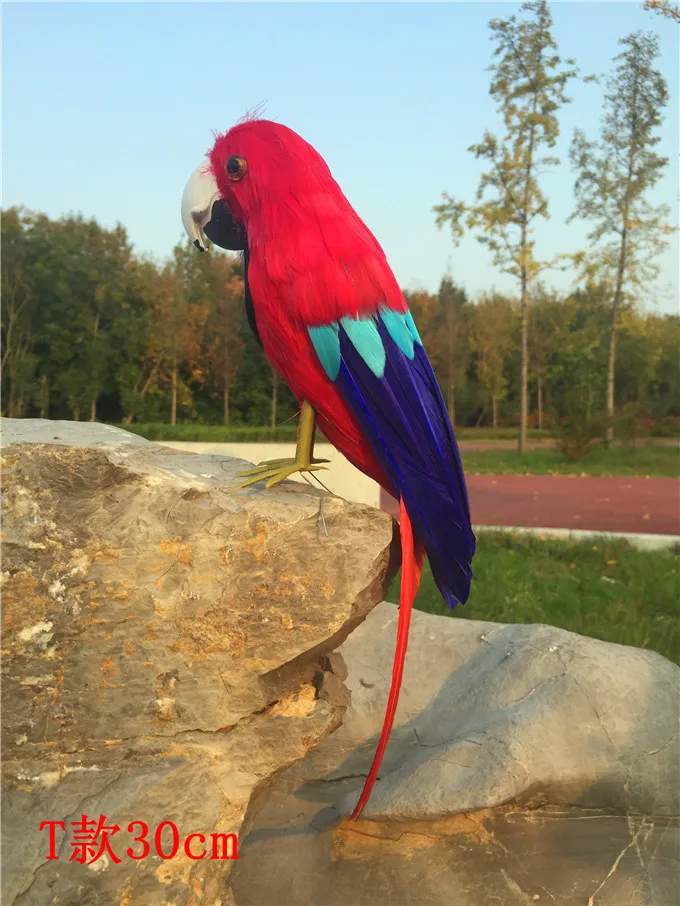 

simulation parrot bird hard model about 30cm polyethylene&red-blue feathers parrot home garden decoration gift s2988