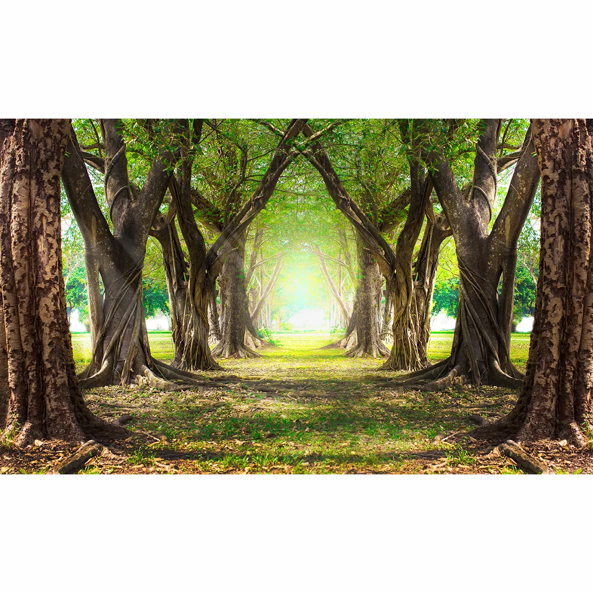 Allenjoy-Fondo para estudio de fotografía, telón de diseño original para sesión fotográfica, bosque mágico, verde, temporada de primavera, sendero forestal