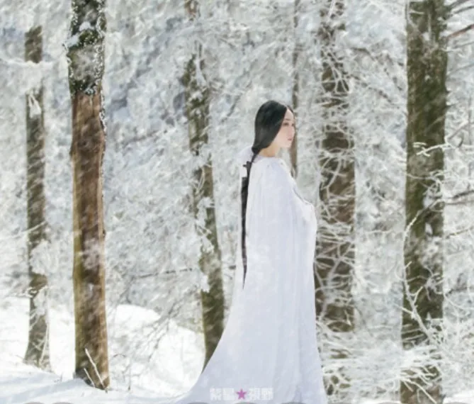 Mei Hua Xue Plum Blossom in Snow Simple Elegant White Costume for Outdoor Thematic Photography Costume with Cloak