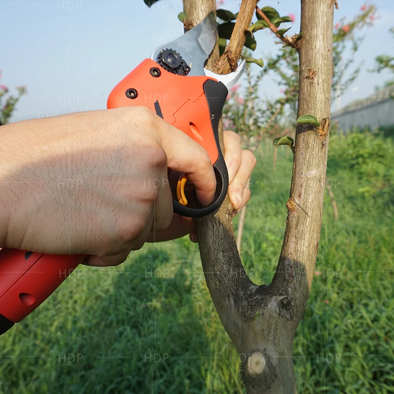 electric bypass pruner (0-25mm cutting diameter)