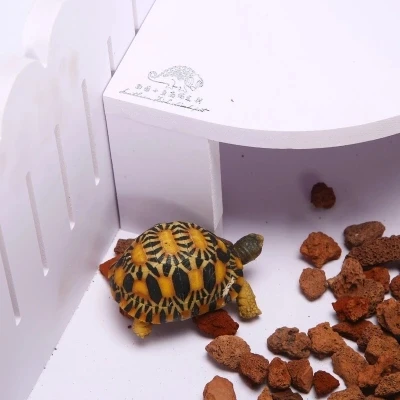 

Amphibians, PVC lizards, squadrons, tortoises, boxes, terrariums, shelters, pets, nests