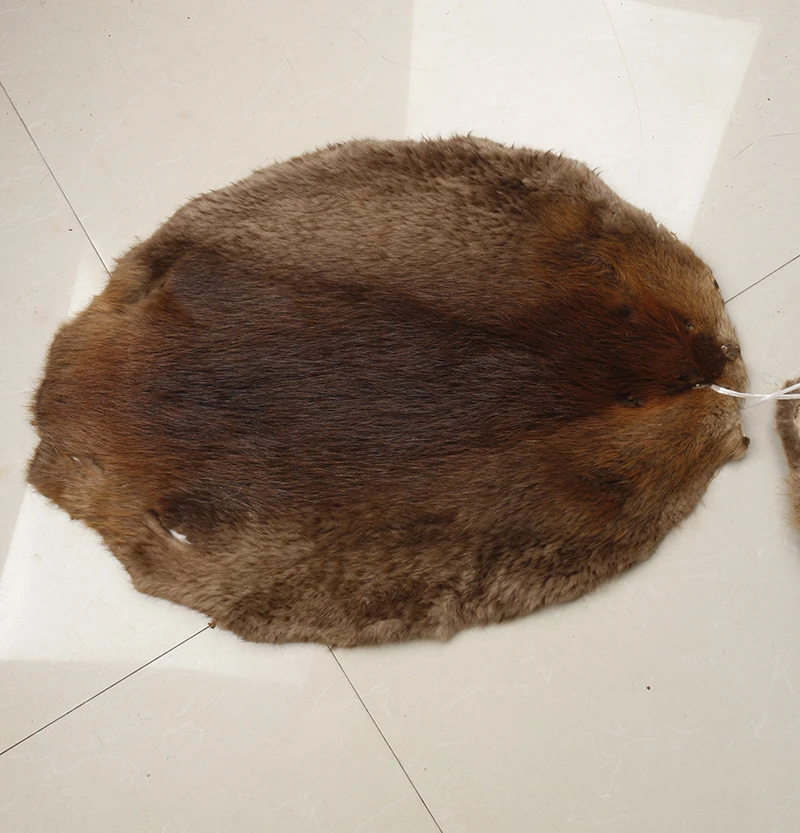 

Wholesale Competitive Price Natural Brown Oval Shape Beaver Fur Pelt Real Fur Skins For Sale