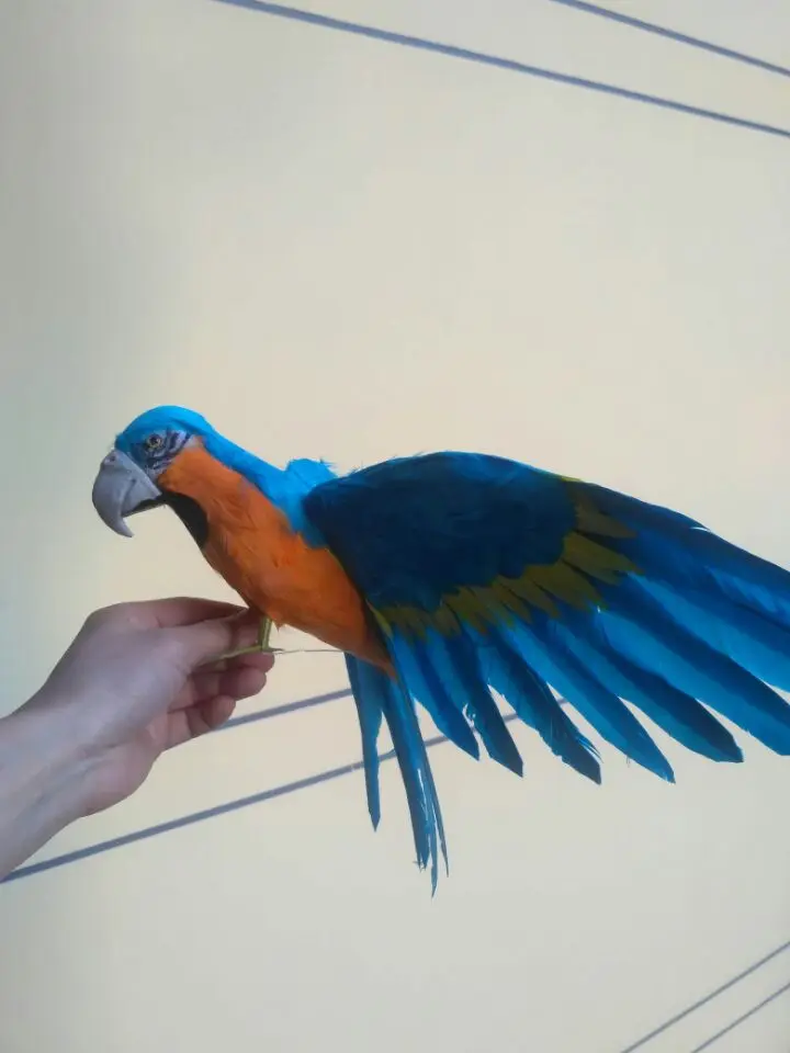 new blue simulation parrot toy polyethylene & furs wings parrot doll gift about 30x45cm 1933