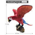 Standing Parrot