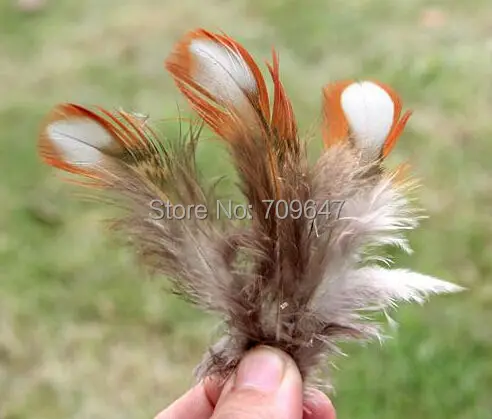 100Pcs/lot! 5-7CM long Natural Tragopan Pheasant Feathers For DIY,Costume,Fly Tying Material