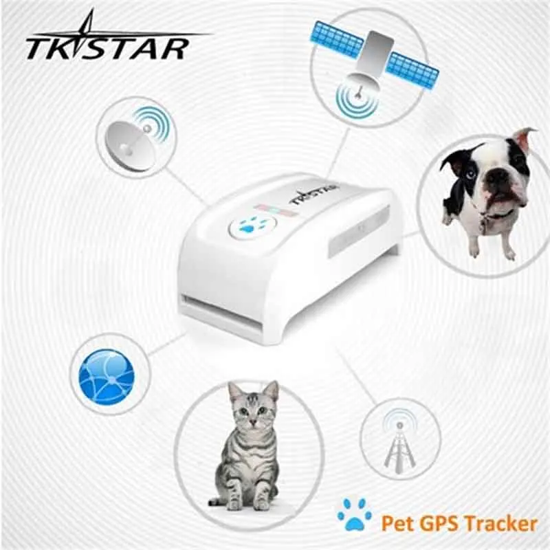 Mini TKSTAR Pet Tracker With Collar GSM/GPRS Positioning Real Time GPS Tracker Dog Pet TK909 LK909 P Dog/Cat   /IOS /Andriod App