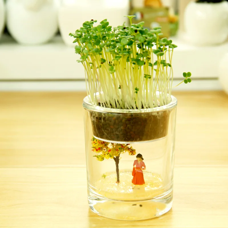 

Creative mini miniature plant pots more meat wholesale office desktop anion hydroponic plants heart-shaped grass