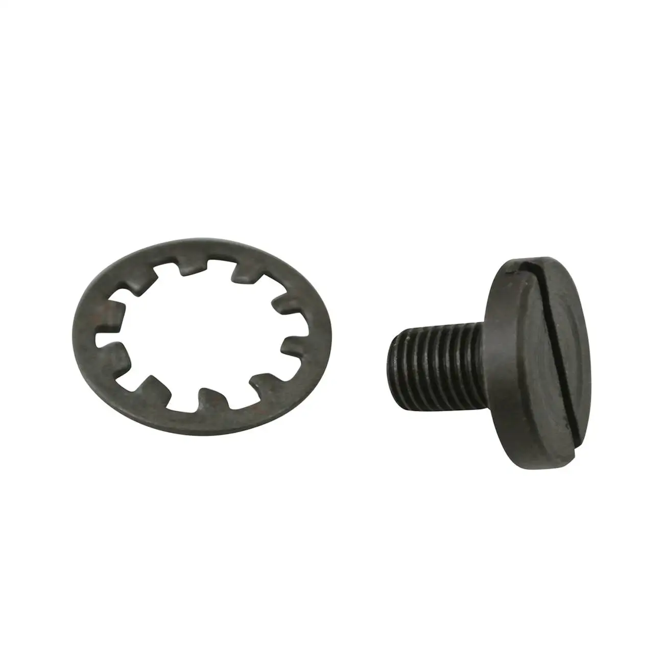 Screw & Gasket For Motorized Bicycle Universal