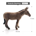 Female Donkey