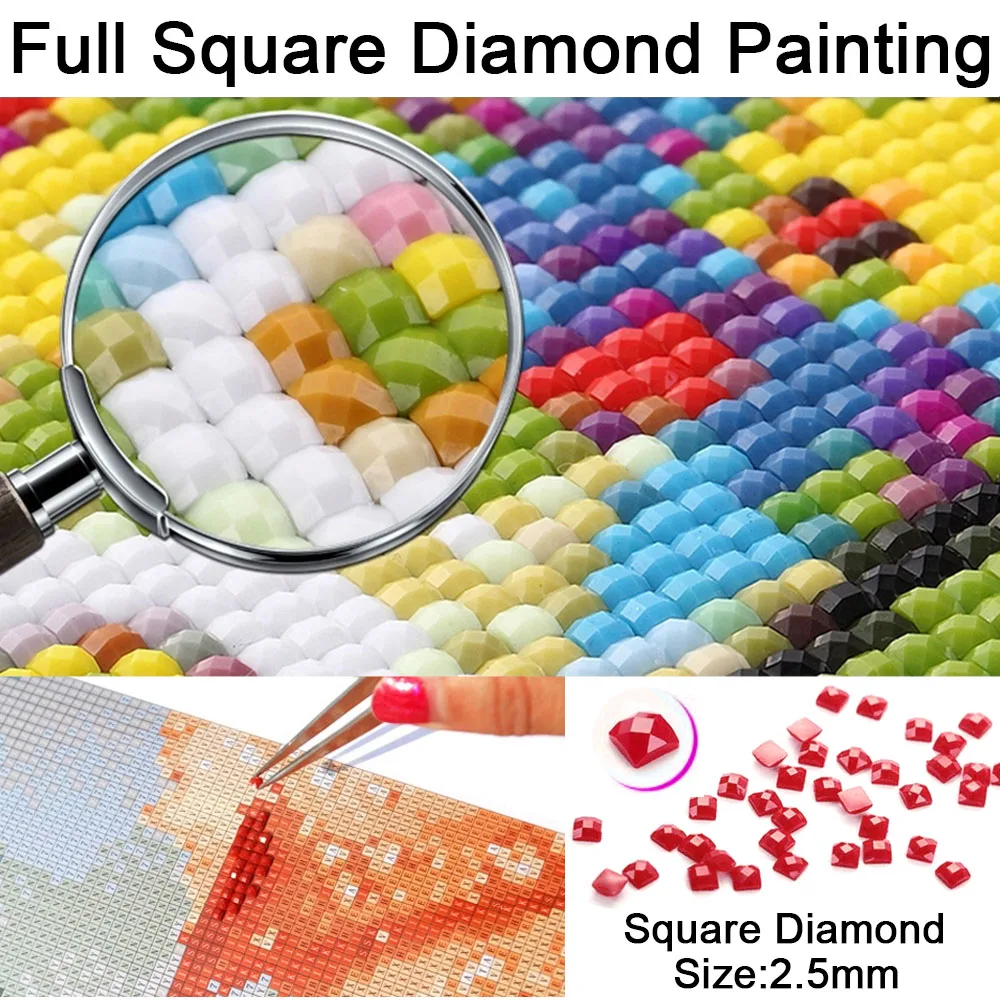 5pcs Full Square/Round Drill 5D DIY Diamond Painting \