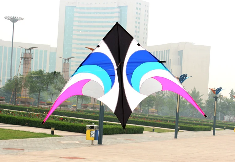 Outdoor Fun Sports  New 2.8 m  Power Delta  Kite  with flying tools