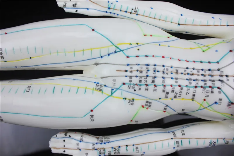 HD Soft silicagel Acupuncture Model 46cm female with Base Human acupuncture meridians model Acupoint Model Acupuncture massage