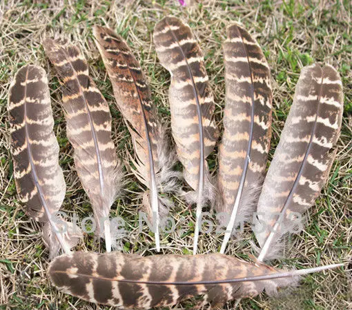 100PCS/LOT 13-15cm Wing Feathers - NATURAL Hen Ringneck Pheasant Wing Round Quills Feather for Home Decoration, Projects