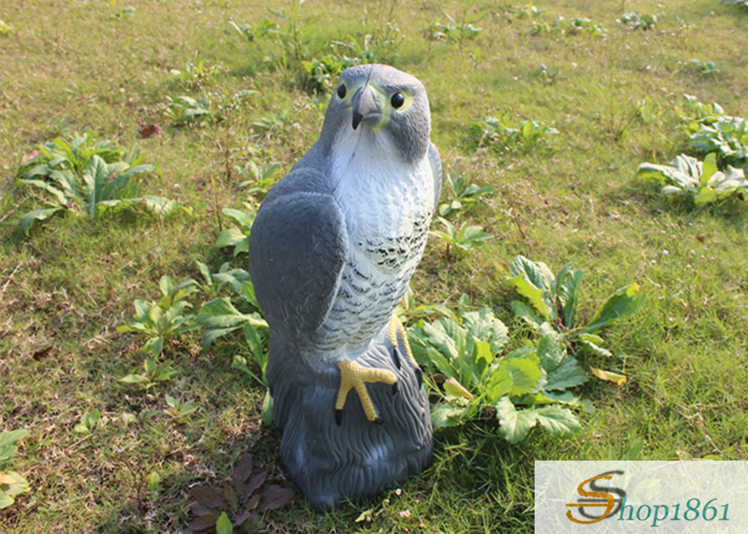 Hunting Birds Decoys Falcon Bird Scare Motionless Garden Plastic Pest Control Care Deter Scarer Defenders Standing Hawk Decoys