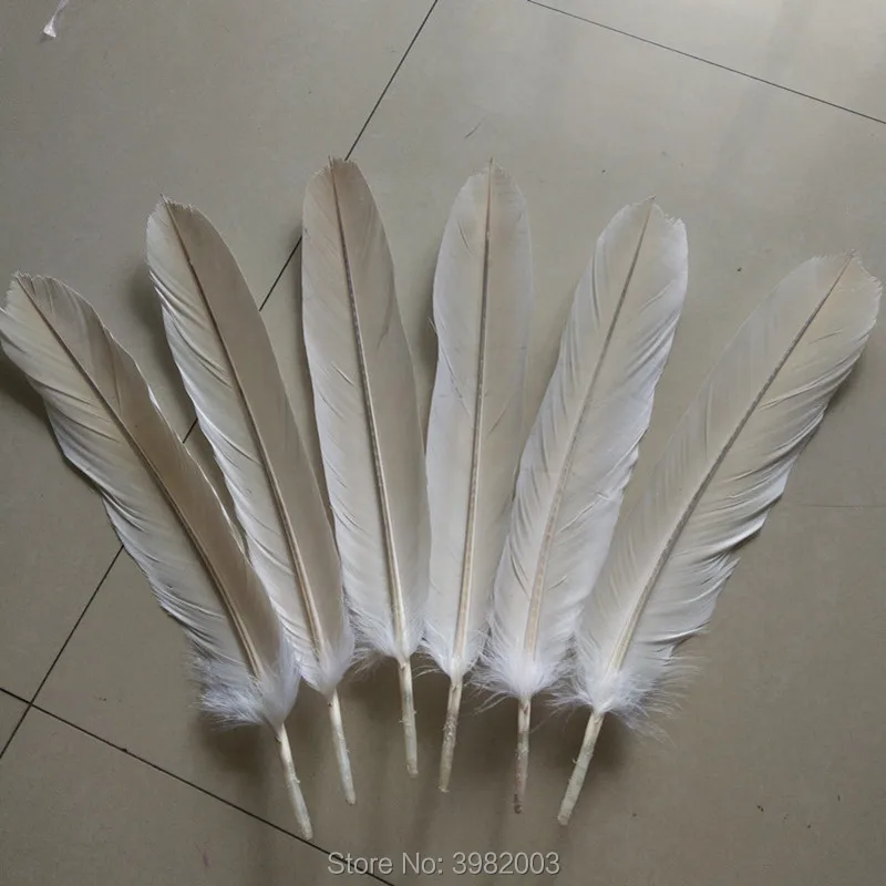 12pcs (1 set) rare white eagle Tail feathers length 40-45 cm / 16-18 inch DIY eagle feather ornament decoration