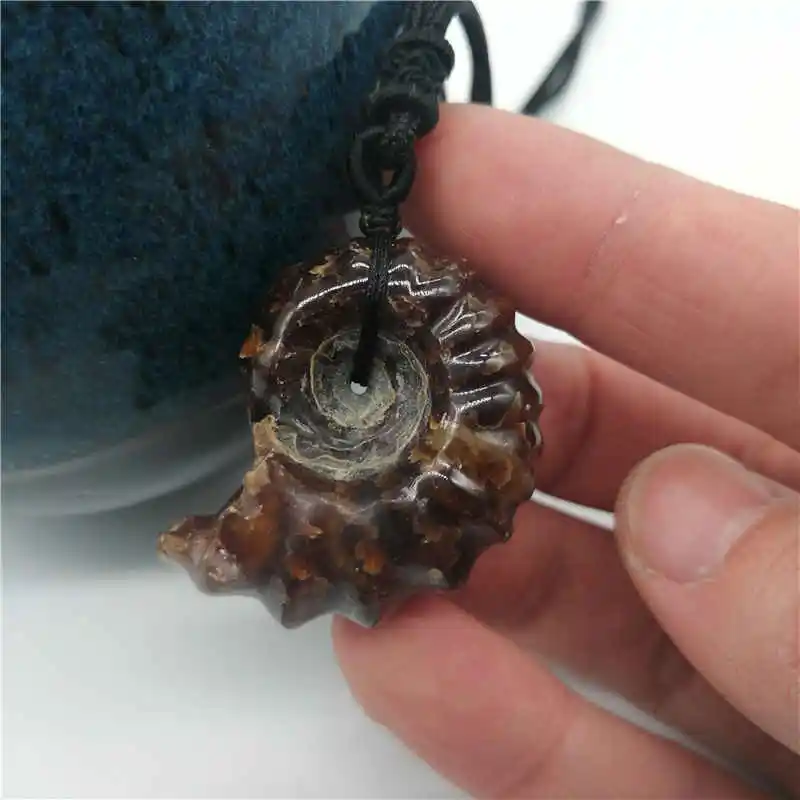 Natural Ammonite Snail Marine Paleontological  Conch Nautiloidea Mineral Specimen Stones  pendant