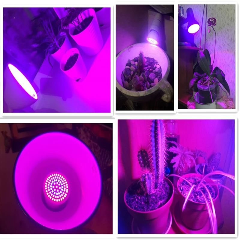 Bombilla LED de espectro completo para cultivo de plantas, lámpara Fitolampy Phyto de 220V, E27, MR16, GU10, para jardín de interior, cultivo