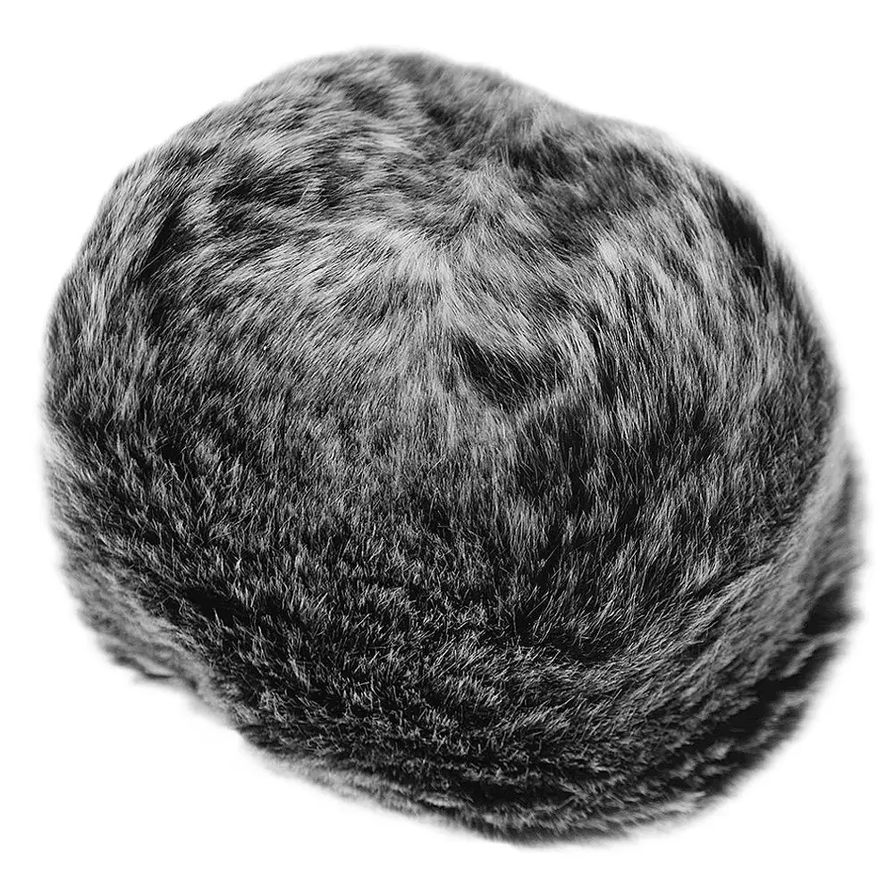 Grabadoras digitales portátiles para exteriores, micrófono peludo, parabrisas, Muff de viento para Sony PCM D100 D50