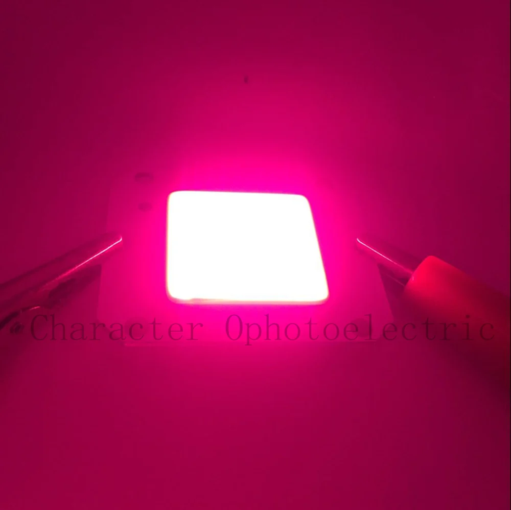 10  PCS DC 12V 50W COB LED Full spectrum 400-840nm High Powe Grow Light for hydroponics 46X40MM