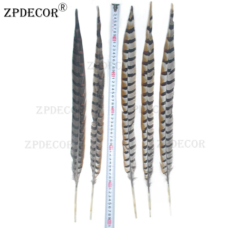 ZPDECOR 55-60CM 22-24 Inch Pheasant Feathers Natural Pluma