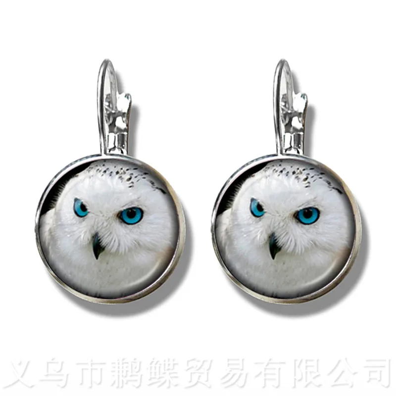 Owl Pattern Classic Stud Earrings Insect Art Picture 16mm Glass Cabochon Dome Silver Plated Earrings For Women Girls Gift