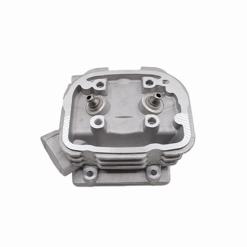 Motorcycle Cylinder Head for Honda WH100 GCC100 SCR100 Euro I II Spare Parts