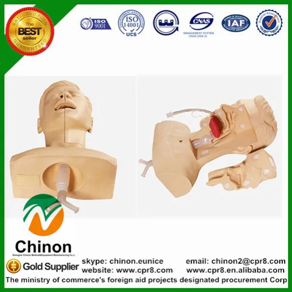 

Chinon Sputum Suction Model Medical Science Education Student Teaching Tools Medical Aspiration Of Sputum Training Simulator