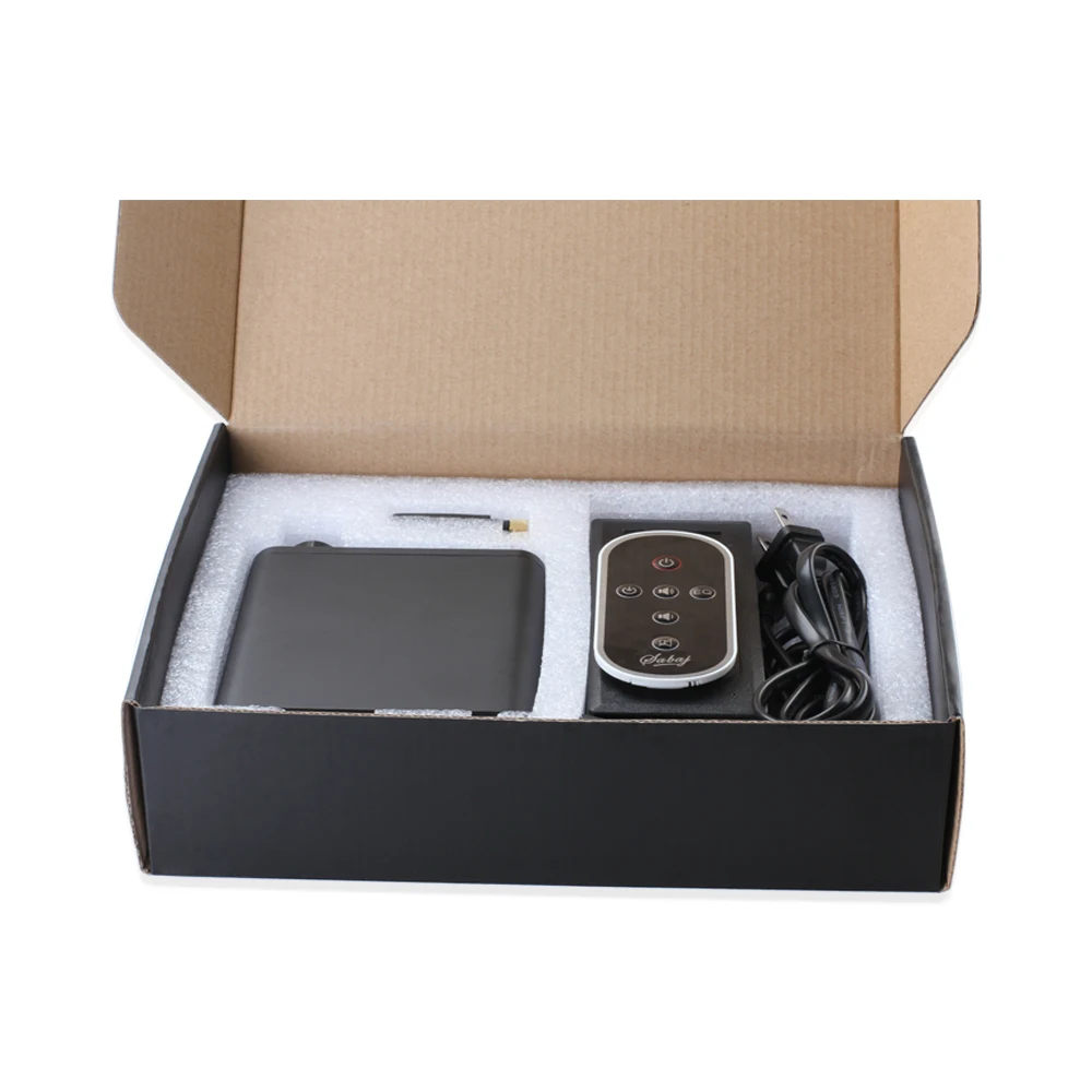 Sabaj A2 Piccola Classe D amplificatore digitale con telecomando e antenna di TPA3116 AMP con Bluetooth USB Ingresso Ottico