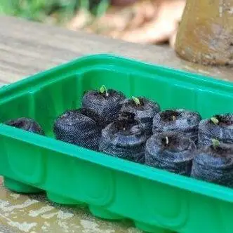 3 block Peat Pellets Seed Starting Plugs Starter Pallet Seedling Soil Block Professional Easy To Use 3*1CM