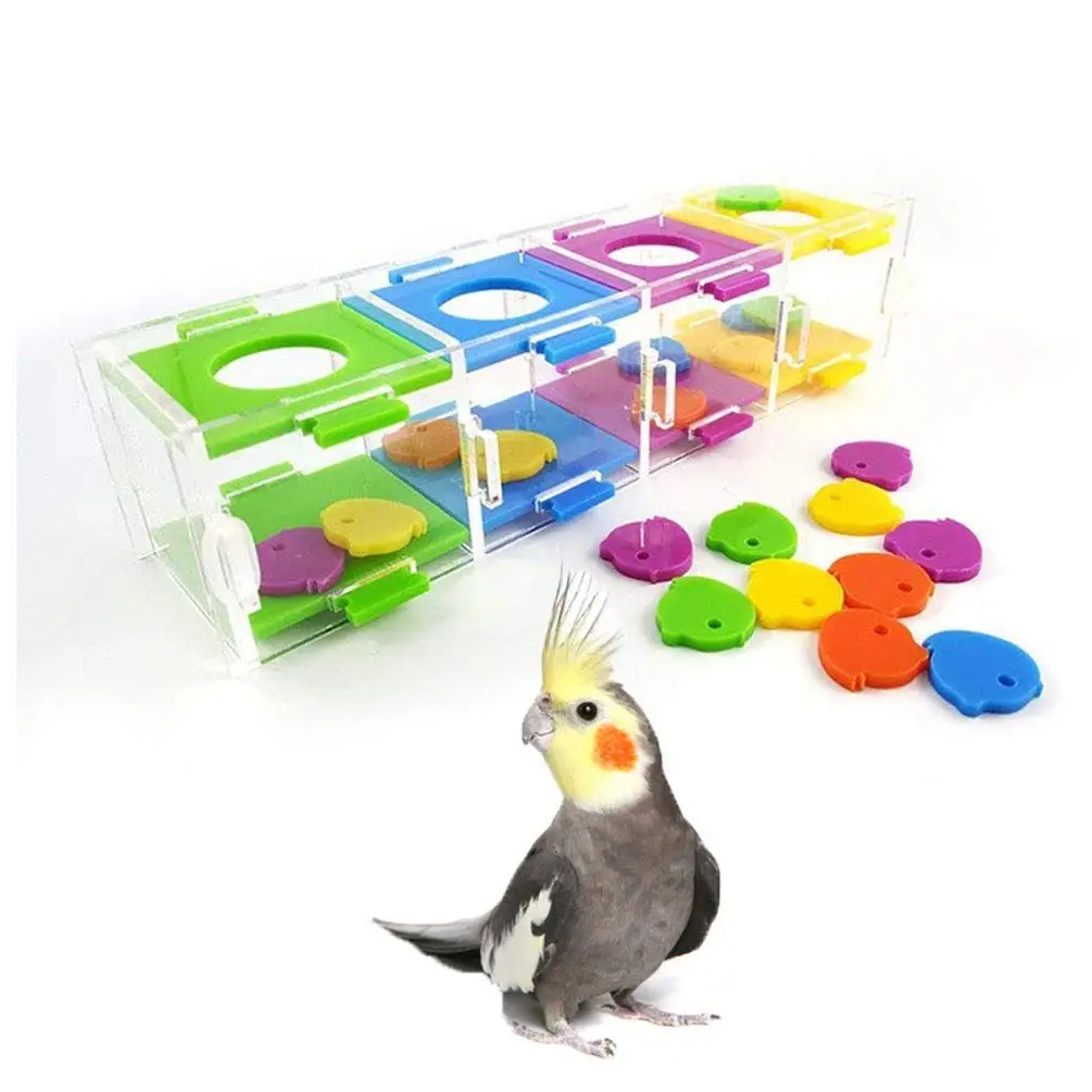 Bird Creative Color Separation Coin Box Parrot Intelligence Training Toy for Parakeet Cockatiel Conure Macaw Cockatoo Cage Part