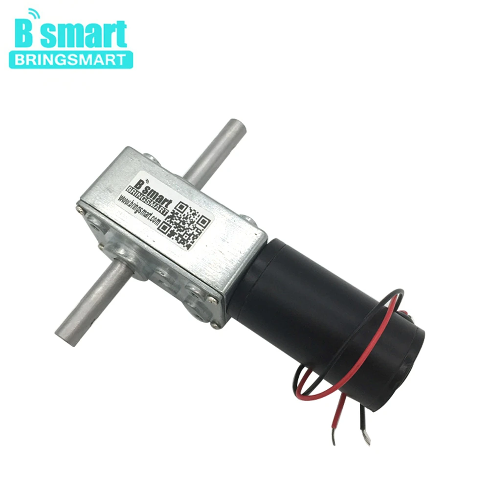 5840-31zy 24 Volt DC Dual Long Shaft Worm Geared Motor 12V DC Reducer Motors High Torque Reversed Self-lock Auto Racks Motor