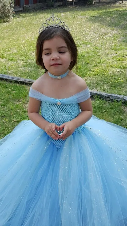 Glittery Light Blue Tulle Girls Party Tutu Dress Stunning Blue Glittery Ball Gown Kids Girls Dress Flower Girl Dress for Wedding